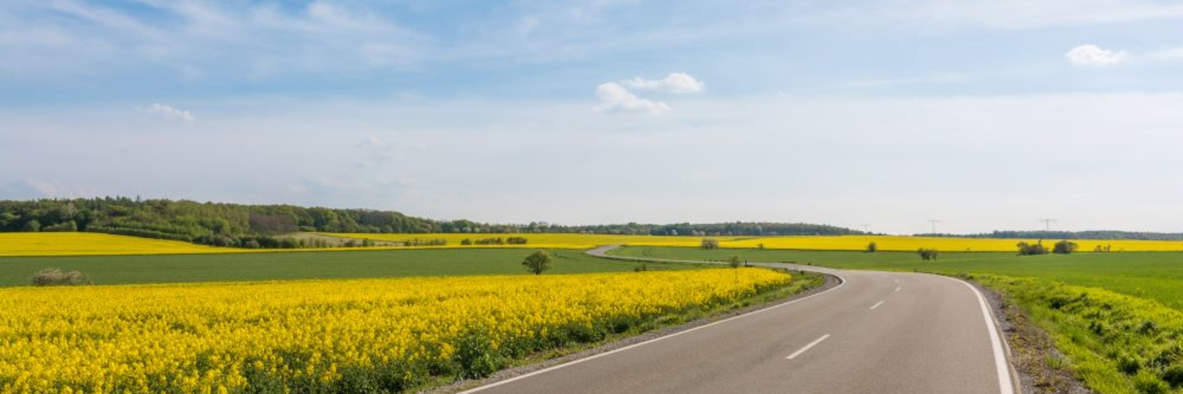 De nieuwste ontwikkeling van Esha is het Freebit biobased bindmiddel