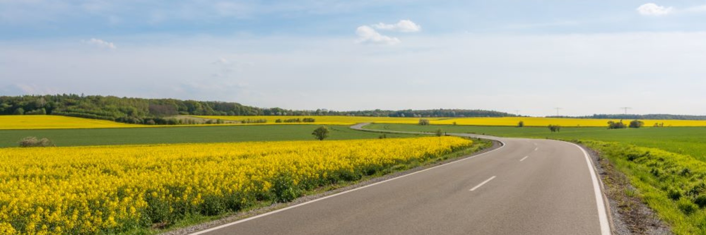 Bindmiddelen voor asfalt uit biologische grondstoffen van Esha-duurzaam alternatief voor bitumen